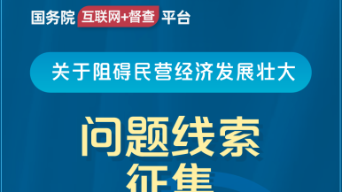 亚洲强插小视频网站国务院“互联网+督查”平台公开征集阻碍民营经济发展壮大问题线索